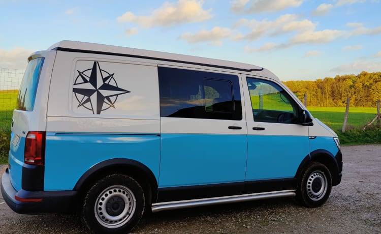 blue – Van T6 Volkswagen 