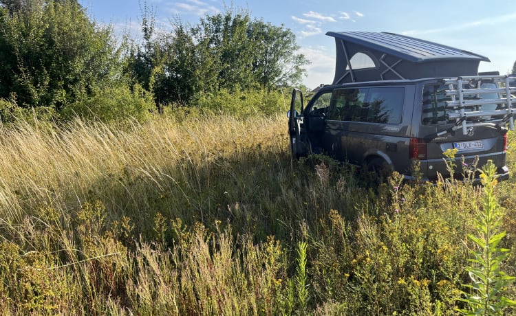 4p Volkswagen campervan uit 2023 // huurders vanaf 18 jaar toegestaan