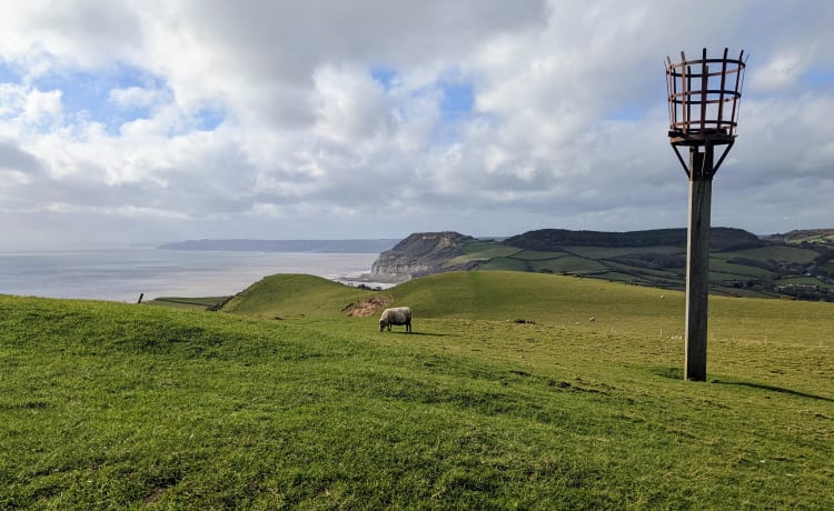 "Barney" – Tour langs de kust en het land in stijl