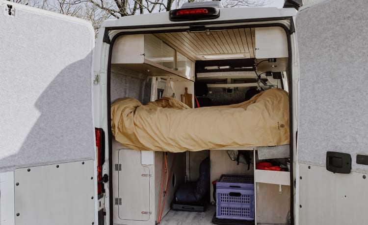 Explorer – Camper compatto Peugeot Bus