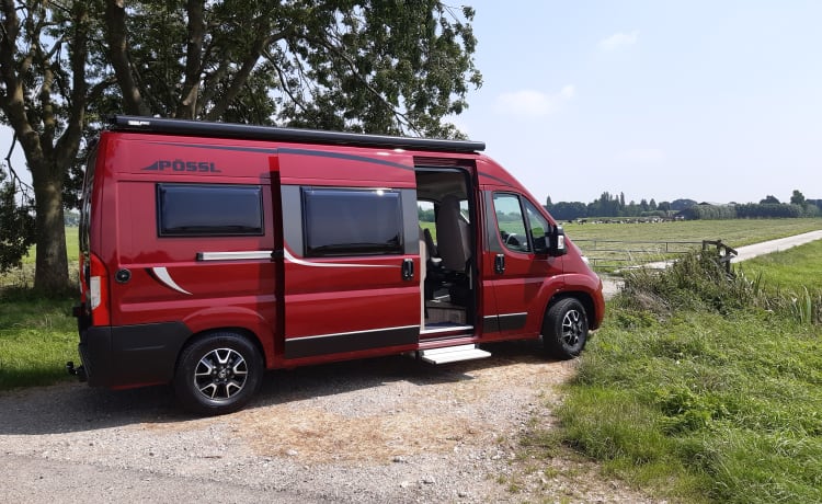 Amazone – Affascinante camper Citroen Jumper Bus per 2 persone