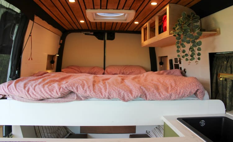 De EcoExpress – Nouveau en location : Camping-car de luxe hors réseau sans gaz
