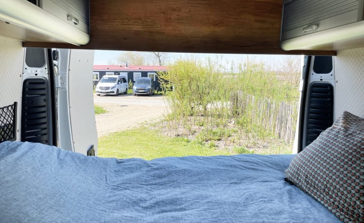 De Groene Waldi – Noleggio camper compatto Peugeot Boxer