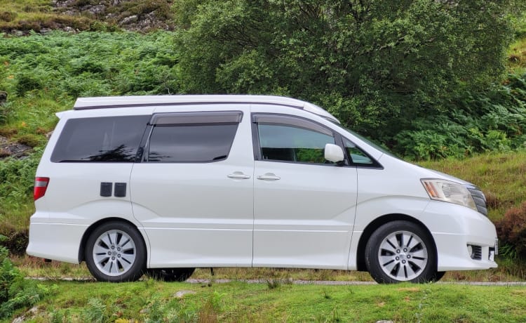 Immaculate Toyota Alphard 2.4 Automatico Bi-Fuel (Benzina / GPL)