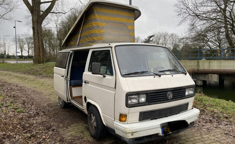 Olle – Stoere T3 met krachtige diesel-motor