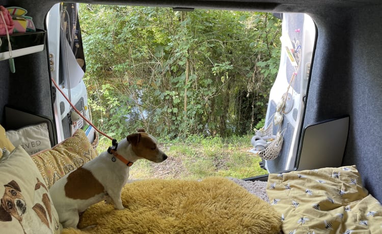 Frank – 4 berth Ford campervan from 2014