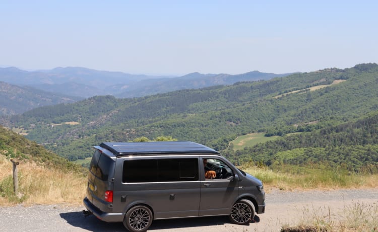 Nelly – 2017 VW T6 Camper mit 4 Schlafplätzen