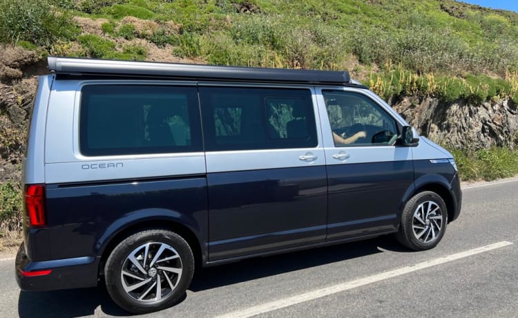 Gertie  – La tua avventura inizia qui con la nostra nuovissima VW California Ocean