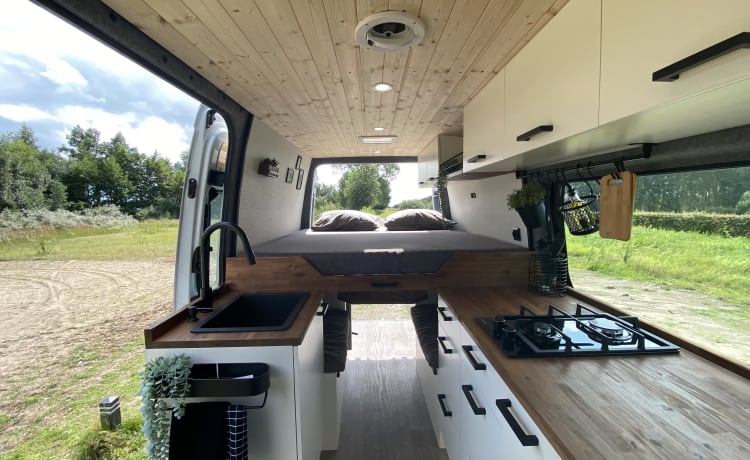 Unique, compact and modern bus camper (self-sufficient)