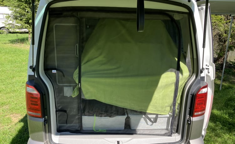 Bulli – Volkswagen California T6 Ocean (options complètes)