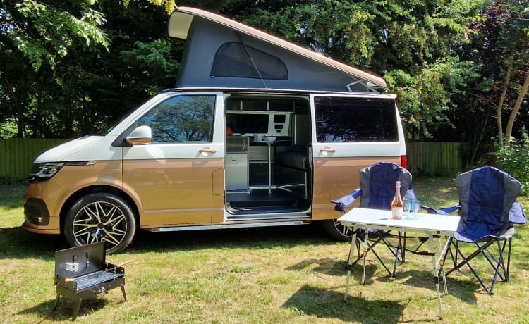 VW Campervan (White/Copper Bronze) – Luxury VW Campervan 4/6 berth