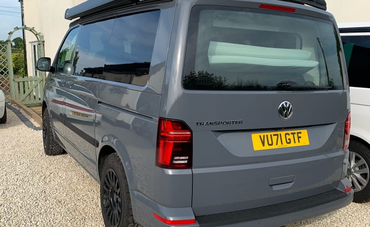 Dougal – VW T6.1