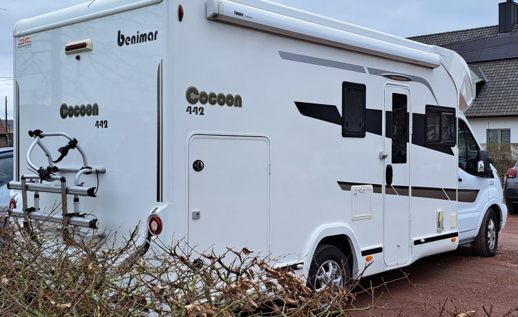 4p Benimar semi-integrated from 2018