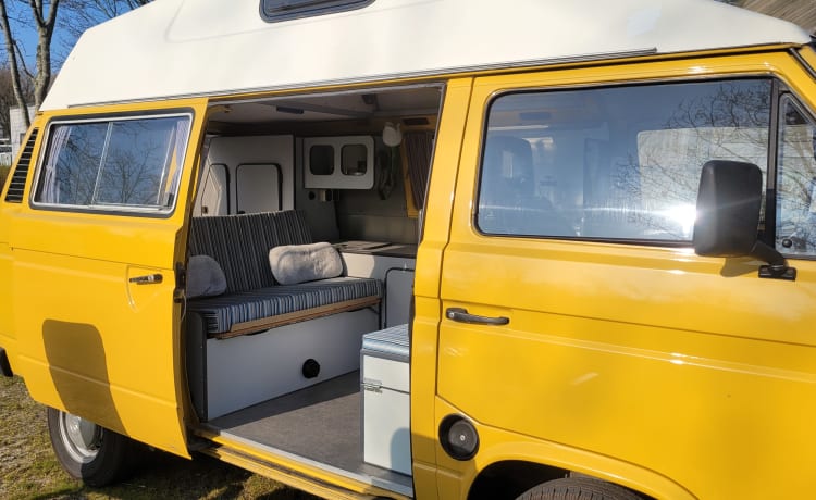 CHICO – cozy, neat, canary yellow oldtimer VW T3 for rent!