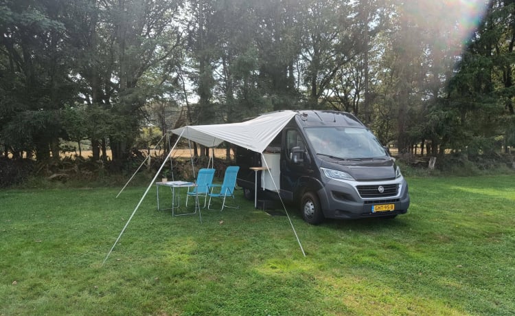 Dolf – luxury Fiat bus camper, fits in all parking spaces 