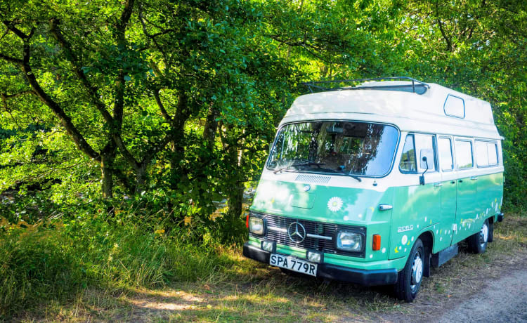 Camper Mercedes Finn Classic del 1977