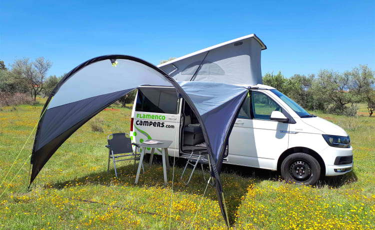 "CARMELA" VW T6 CALI BEACH CAMPER – Flamenco Campers, Louez un camping-car, explorez l'Andalousie.