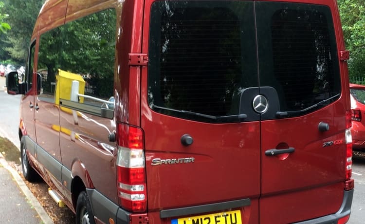 Mercedes Sprinter WAV automatic camper Wheelchair accessible + e-tandem!