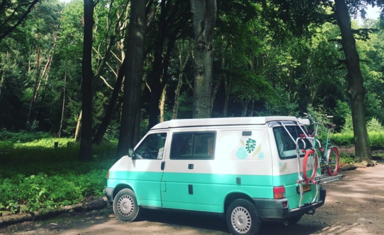 Bessie – 4p Volkswagen T4 Wohnmobil mit Hubdach