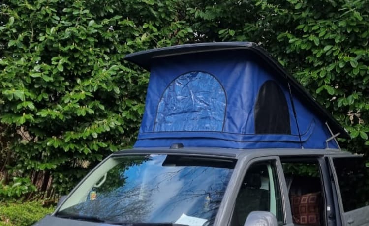 Skyler – Il piccolo camper co - 4 Posti letto VW Campervan