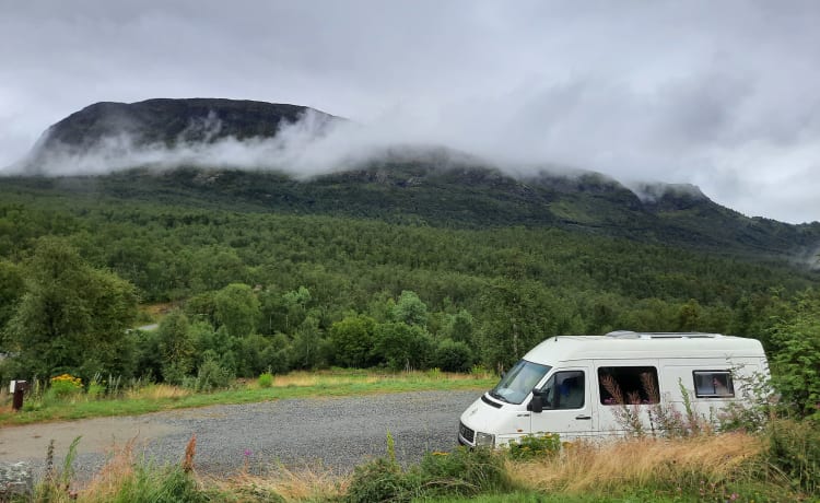 Gemütlicher und gepflegter VW-Wohnmobilbus 2.5TDI