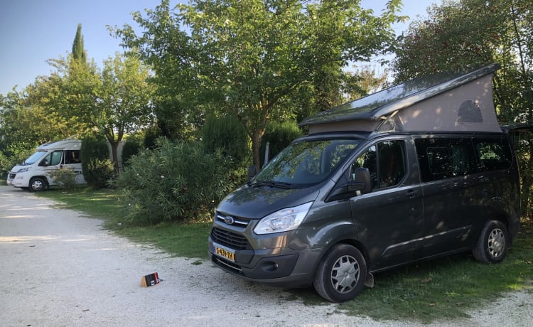 4p Nugget Westfalia Euro6 ist überall erlaubt!