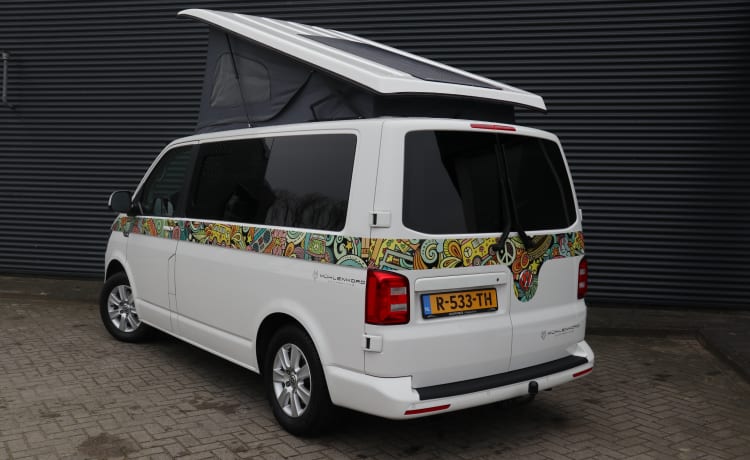 Hyppie-style – Volkswagen Camper Muehlenkord