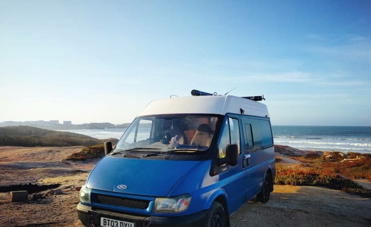 Squeak 🐰 – Compacte surfcamper!!