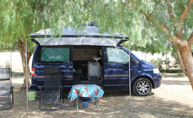 powerful VW T5 Multivan camper van with spacious Reimo pop-up roof