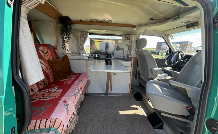 Gus the Bus – Compacte VW Westfalia