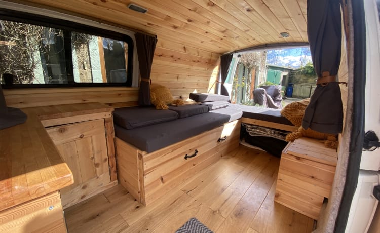 Scandi – Camper Volkswagen 2 posti letto