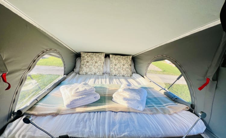 Winnie  – 4 berth, 4 belt (2023)