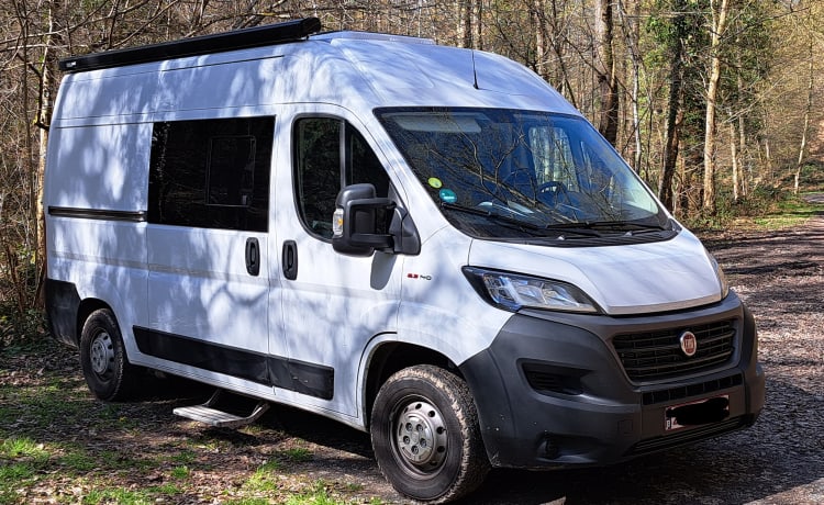 2p Fiat bus uit 2020