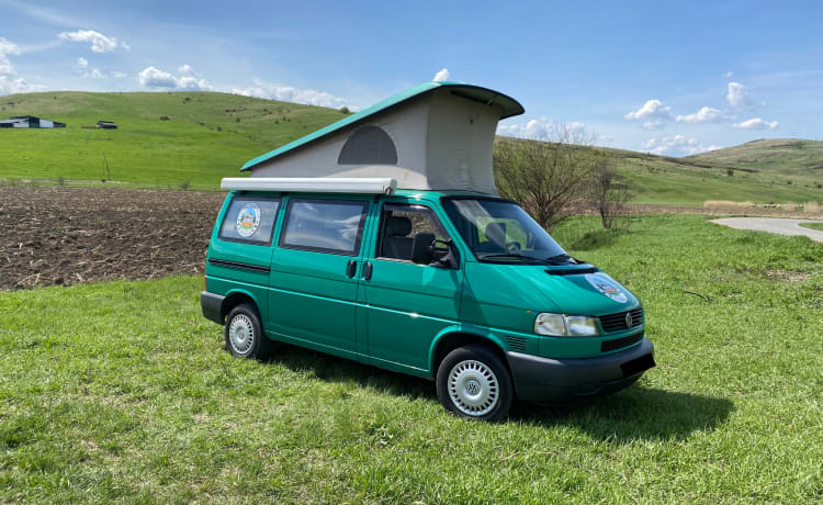 The Green One – Camper Adventures Roemenië