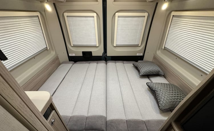 Betty George – Elddis 4-Bett-Campervan mit Automatik, 2024