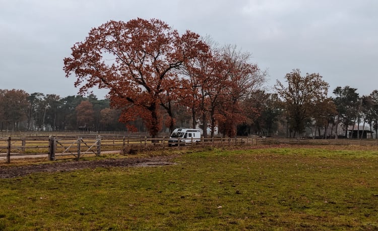 Hectorhetbusje – Camping car 2p Chausson Bus à partir de 2021