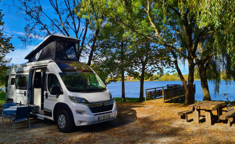 Ongi – Van equipped for 4 people with pop-up roof