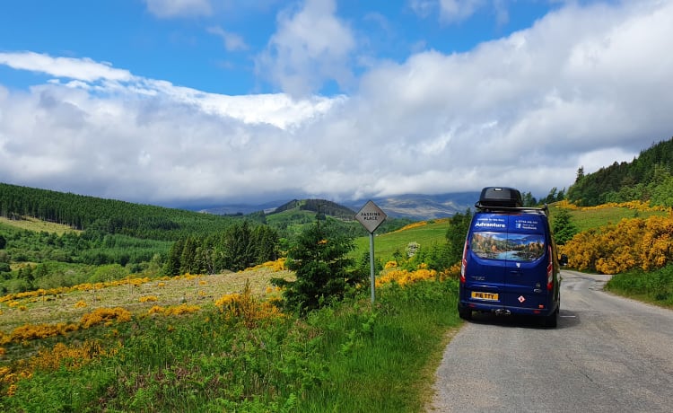 Custom – Camping-car personnalisé Transit