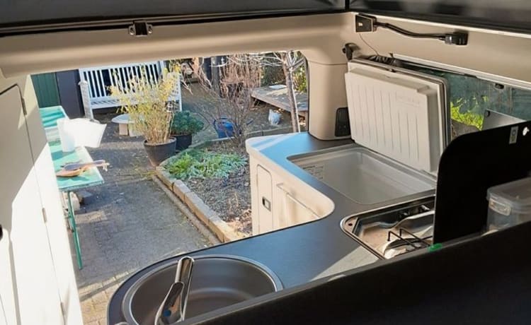 4p Nugget Westfalia Euro6 est autorisé partout !