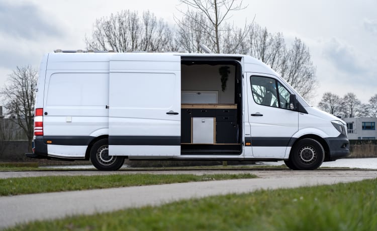 Benzie – Bus hors réseau Mercedes-Benz 2p 