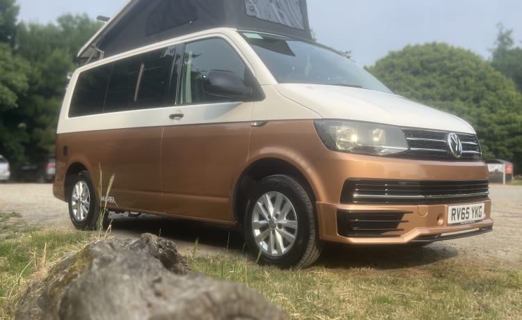 Snug Dubs – Volkswagen Campervan 4 Geburt 