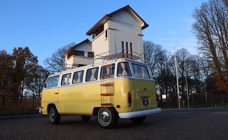 John Lemon – Autobus Volkswagen 5p del 1984