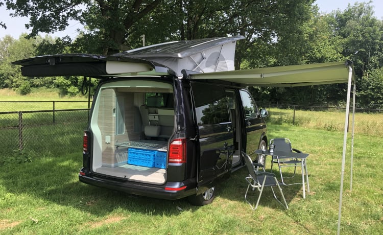 Luxury 4WD VW California (2019)