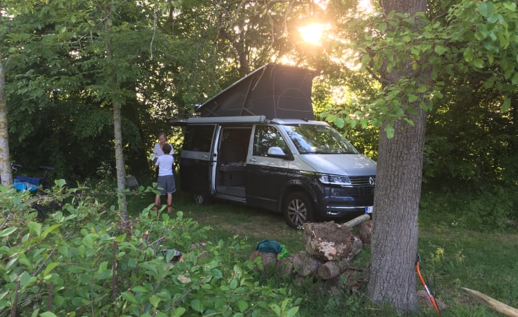 VW California T6.1 Ocean - Grigio/Blu - Automatico