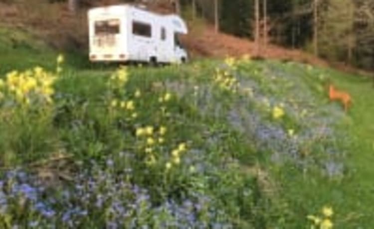 Motorhome Hire North East