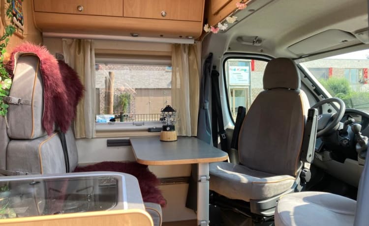 Hygge – Sfeervolle camperbus voor een leuk avontuur 