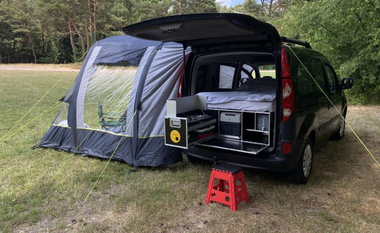 The Dutch Kangeroo 🦘 – Camping-car Renault 2p de 2009