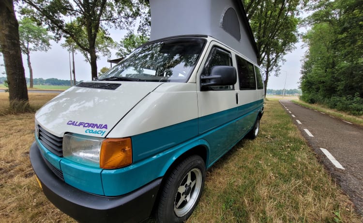 Dolly! – Go on an unforgettable road trip with this T4 Westfalia! KM-free!