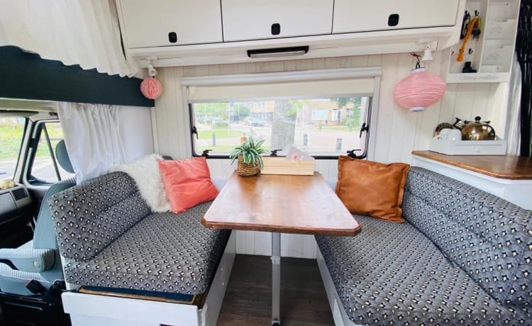 Wilma – Beautifully pimped Fiat Burstner Alcove Camper, 5 pers.