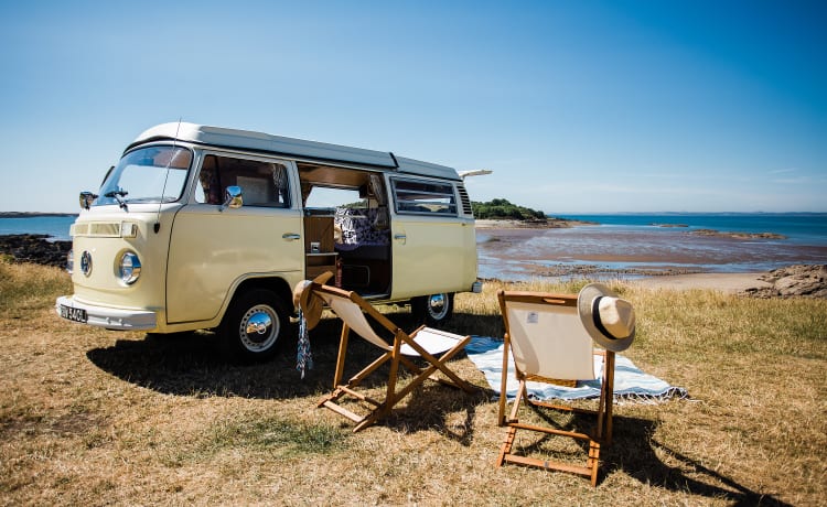 Daisy – Uno splendido camper classico VW a noleggio, con sede nel sud-ovest della Scozia